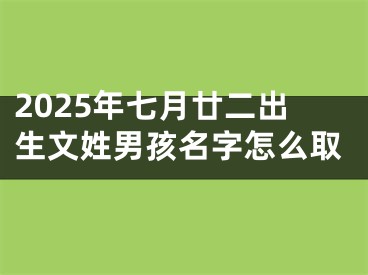 2025年七月廿二出生文姓男孩名字怎么取