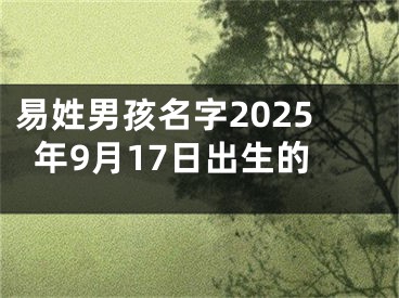 易姓男孩名字2025年9月17日出生的
