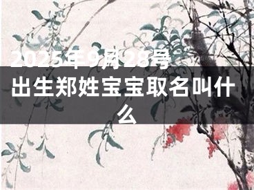 2025年9月28号出生郑姓宝宝取名叫什么