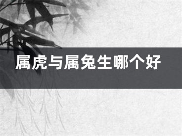 属虎与属兔生哪个好