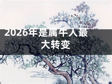 2026年是属牛人最大转变