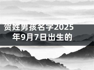 贺姓男孩名字2025年9月7日出生的