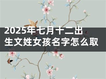 2025年七月十二出生文姓女孩名字怎么取