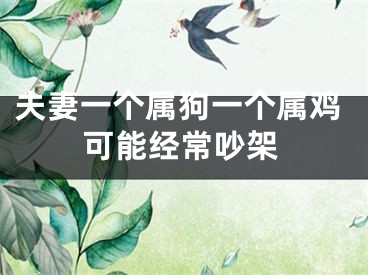夫妻一个属狗一个属鸡可能经常吵架