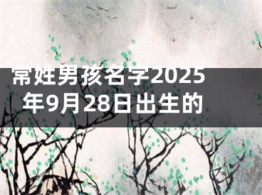 常姓男孩名字2025年9月28日出生的