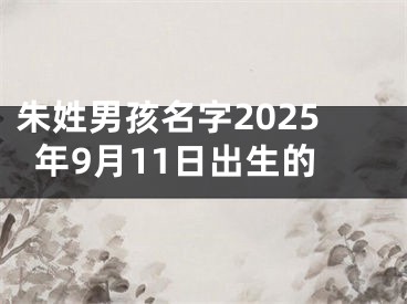 朱姓男孩名字2025年9月11日出生的