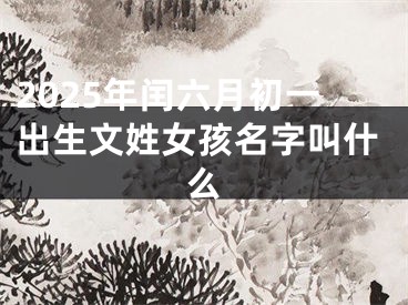 2025年闰六月初一出生文姓女孩名字叫什么
