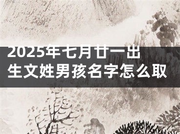 2025年七月廿一出生文姓男孩名字怎么取