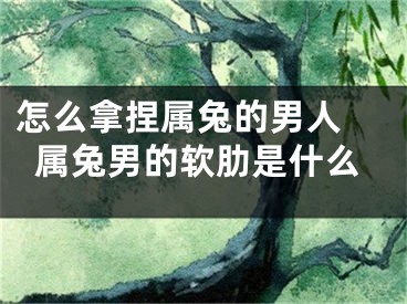 怎么拿捏属兔的男人 属兔男的软肋是什么