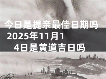 今日是提亲最佳日期吗 2025年11月14日是黄道吉日吗