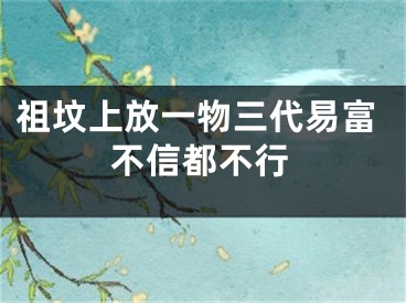 祖坟上放一物三代易富不信都不行