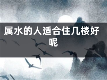 属水的人适合住几楼好呢