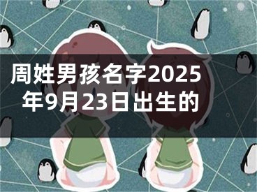 周姓男孩名字2025年9月23日出生的