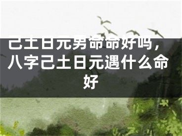 己土日元男命命好吗，八字己土日元遇什么命好