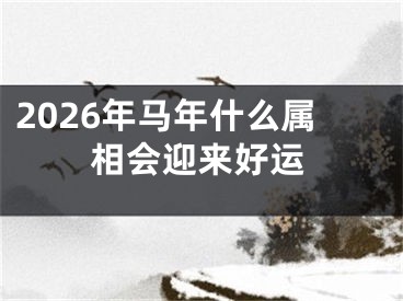 2026年马年什么属相会迎来好运