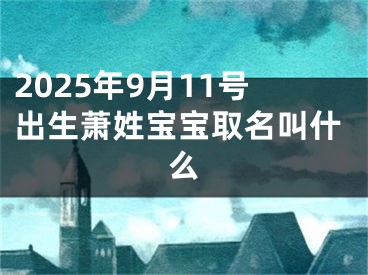 2025年9月11号出生萧姓宝宝取名叫什么