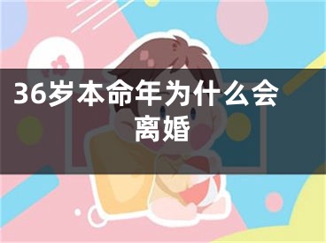 36岁本命年为什么会离婚