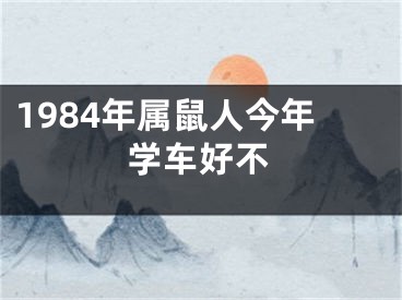 1984年属鼠人今年学车好不