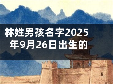 林姓男孩名字2025年9月26日出生的