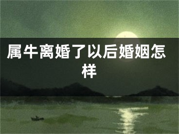 属牛离婚了以后婚姻怎样