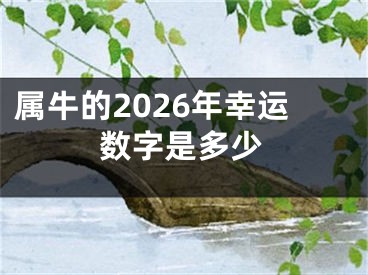 属牛的2026年幸运数字是多少