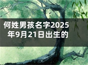 何姓男孩名字2025年9月21日出生的