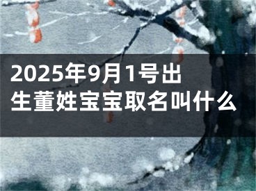 2025年9月1号出生董姓宝宝取名叫什么