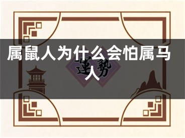 属鼠人为什么会怕属马人