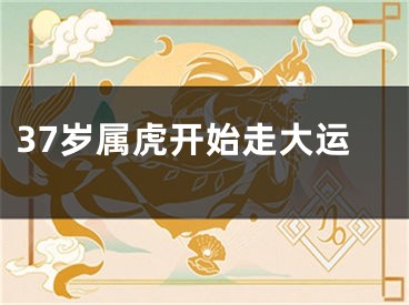 37岁属虎开始走大运