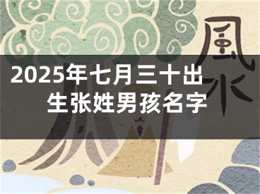 2025年七月三十出生张姓男孩名字