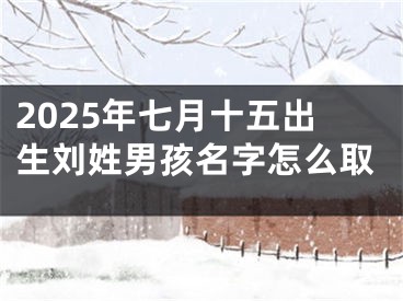 2025年七月十五出生刘姓男孩名字怎么取