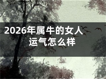 2026年属牛的女人运气怎么样