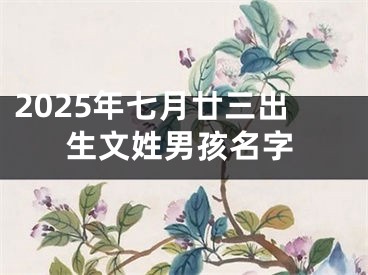 2025年七月廿三出生文姓男孩名字