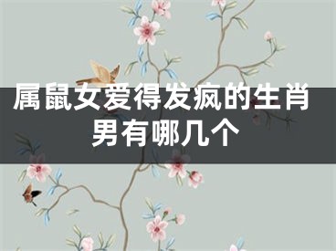 属鼠女爱得发疯的生肖男有哪几个
