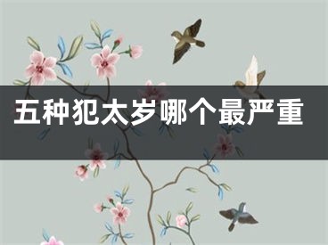 五种犯太岁哪个最严重