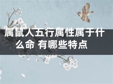 属鼠人五行属性属于什么命 有哪些特点