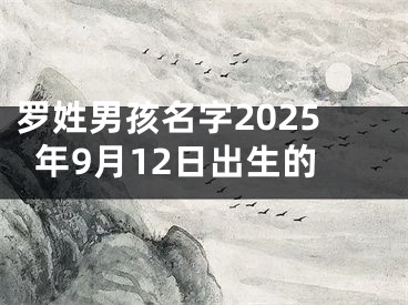 罗姓男孩名字2025年9月12日出生的