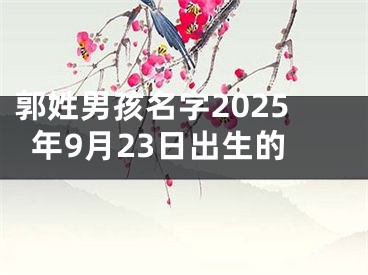 郭姓男孩名字2025年9月23日出生的