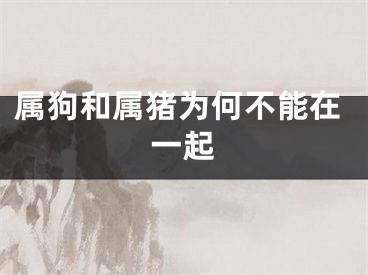 属狗和属猪为何不能在一起