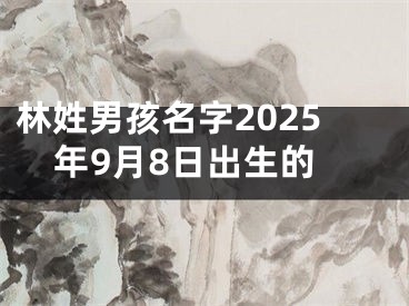 林姓男孩名字2025年9月8日出生的