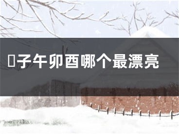 ​子午卯酉哪个最漂亮