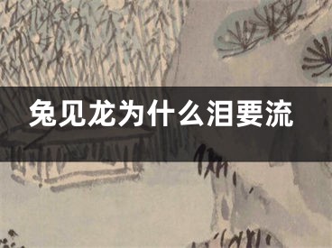 兔见龙为什么泪要流