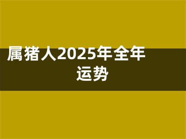 属猪人2025年全年运势