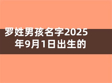 罗姓男孩名字2025年9月1日出生的
