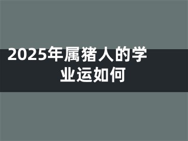 2025年属猪人的学业运如何