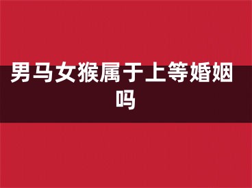 男马女猴属于上等婚姻吗