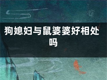 狗媳妇与鼠婆婆好相处吗