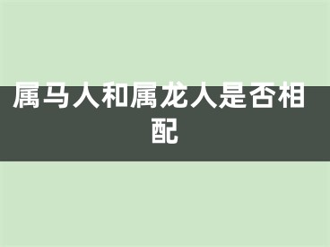 属马人和属龙人是否相配