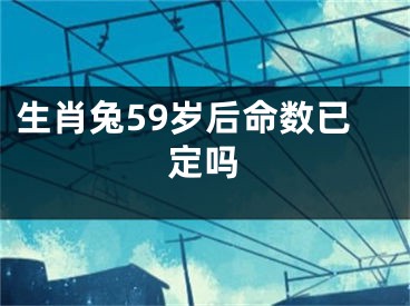 生肖兔59岁后命数已定吗