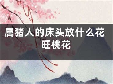 属猪人的床头放什么花旺桃花